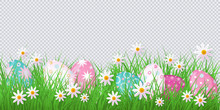 Vector Easter Holiday Template On Transparent Background With Spring Festive Elements - Decorated Eggs At Green Grass Meadow, Daisy Flowers For Your Design. Illustration On Green Background