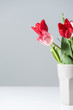 © LIGHTFIELD STUDIOS - close-up view of beautiful blooming red and pink tulip flowers in vase on grey