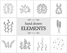 Hand Drawn Floral Logo Elements And Icons