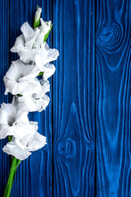 Gladiolus Flower On Blue Wooden Background Top View Copyspace