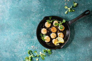 Fried scallops with butter lemon spicy sauce in cast-iron pan served with green salad over turquoise texture background. Top view, copy space