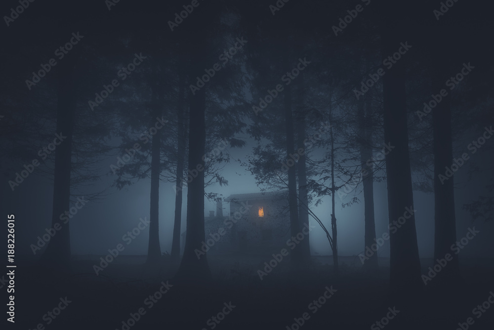 scary house in mysterious horror forest at night - obrazy, fototapety, plakaty 