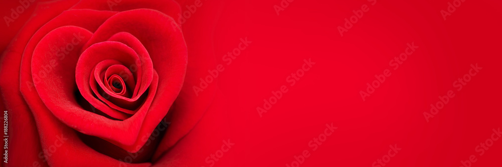 Red rose in the shape of a heart, valentines day panoramic web banner, love symbol - obrazy, fototapety, plakaty 
