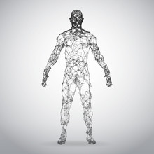 Abstract Wire Frame Human Body. Polygonal 3d Model On White Background
