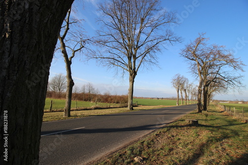 Zdjęcie XXL typowa wiejska droga w Brandenburgii
