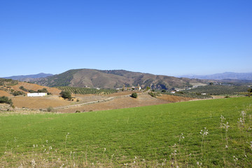 Sticker - spanish meadow and scenery