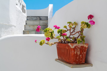 Wall Mural - Architecture of Oia village at Santorini island, Greece