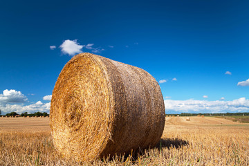 Hay bales on the swedish field