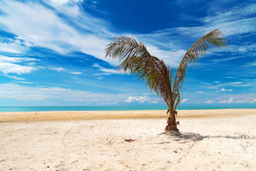 Wall Mural - Beautiful tropical beach in Thailand