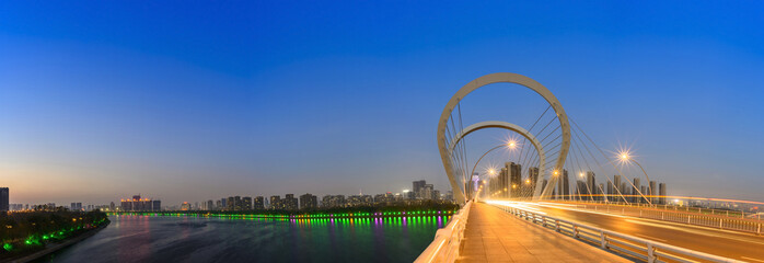 Wall Mural - Modern bridge and skyscraper at dusk. Located in Shenyang, Liaoning, China.