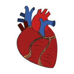 Poster - Human heart organ icon vector illustration graphic design