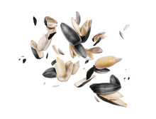 Peeled Sunflower Seeds Are Frozen In The Air On White Background