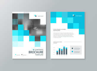 Wall Mural - business brochure, flyer ,report layout template, with abstract cover design background