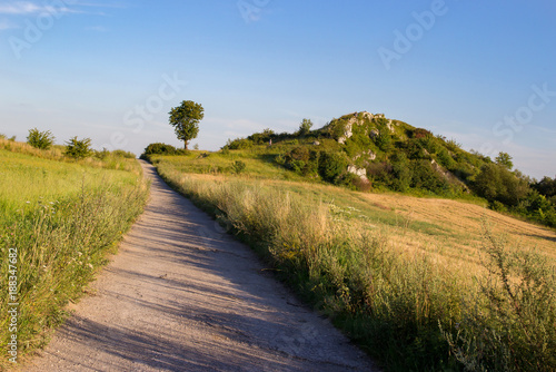 Zdjęcie XXL Wiejski krajobraz z drogą