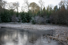 A Frozen Secret Pond Surrounded By Trees