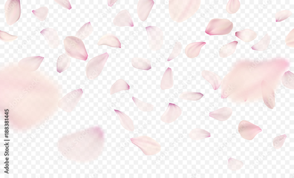 Pink sakura falling petals background. Vector illustration - obrazy, fototapety, plakaty 