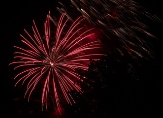 Firework