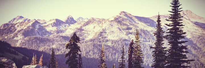 Poster - Mountains and forest