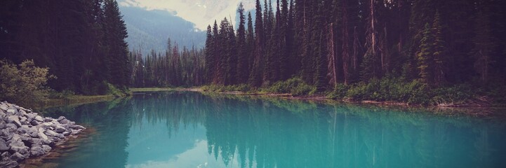 Poster - River in forest