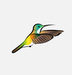 Hummingbird flying vector icon