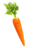 Fototapeta  - Carrot isolated on white