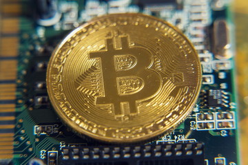 Wall Mural - golden bitcoin coin lying on green computer keyboard, cryptocurrency bubble investing concept