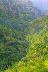 Wall Mural - Mountain landscape. View of mountains on the route Queimadas Forestry Park - Caldeirao Verde