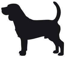 Beagle Dog - Vector Black Silhouette Isolated