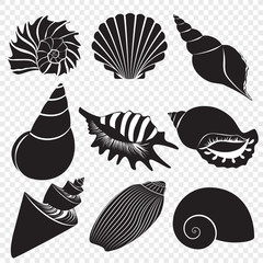 Wall Mural - Vector sea shells black silhouettes isolated on the alpha transperant background.