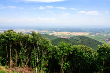 Wall Mural - above view of region Alsace Wine Route from Vosges