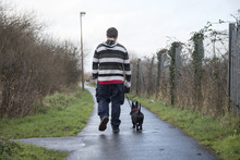 Rear View Of A Young Man Walking His Scottish Terrier Dog 