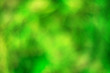 © ksenija1803z - Abstract blur color green gradient background