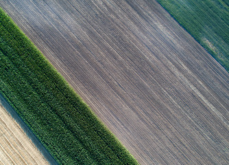 Wall Mural - Farmlands shoot from air