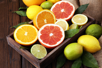 Wall Mural - Citrus background. Assorted fresh citrus fruit. Lemon, orange lime, grapefruit. Fresh and colorful concept.