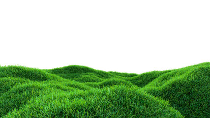 Wall Mural - grass background, fresh green fields, isolated