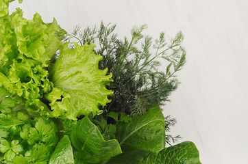 Wall Mural - Different green sheaves greens for spring salad on white wooden background, top view.