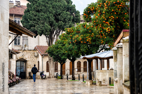 turkish mosque yard with mandarin trees, motocycle and men's back Slika na platnu