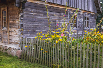 Wall Mural - Traditional wooden cottage in Masuria region of Poland