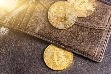 Bitcoins in leather wallet