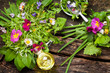Frühlingssalat - Wildkräuter, essbare Blüten und Öl
