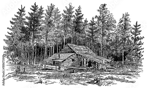 Cabin In The Woods Vintage Engraving Illustration Buy This