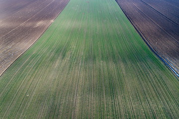 Wall Mural - Aerial image of agricultural fields