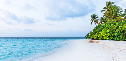 Wall Mural - On a white sand beach in paradise. Tropical island in the ocean. Palm trees on white sand beach. Maldives. A great place to relax.