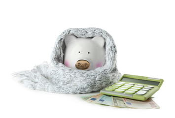 Sticker - Piggy bank with warm scarf, banknotes and calculator on white background