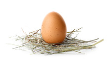 Chicken Egg On White Background