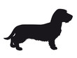 Dachshund - Vector black dog silhouette isolated
