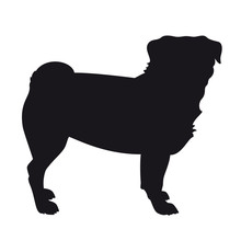 Pug Dog Standing-  Vector Black Dog Silhouette Isolated