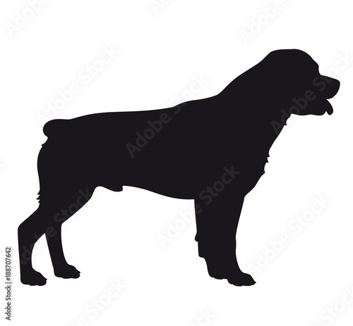 Download Rottweiler dog - Vector black silhouette isolated - Buy this stock vector and explore similar ...