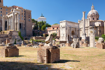 Wall Mural - The ancient Roman Forum in central Rome