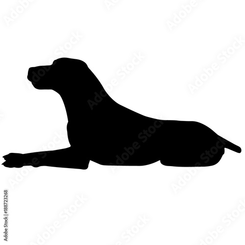 German Shorthaired Pointer Dog Silhouette Vector Graphics Buy